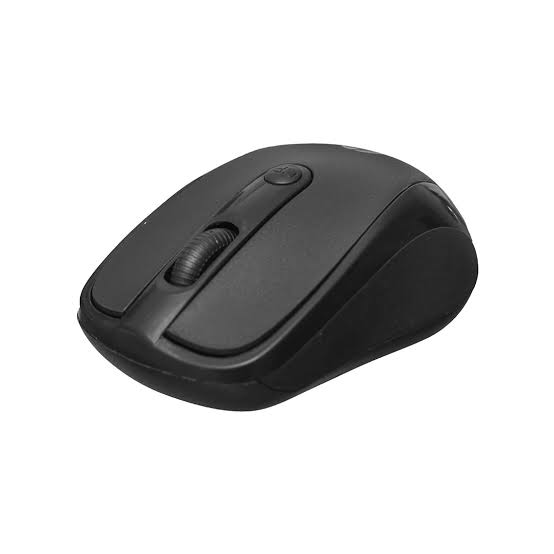 HP 3100 WRS Mouse